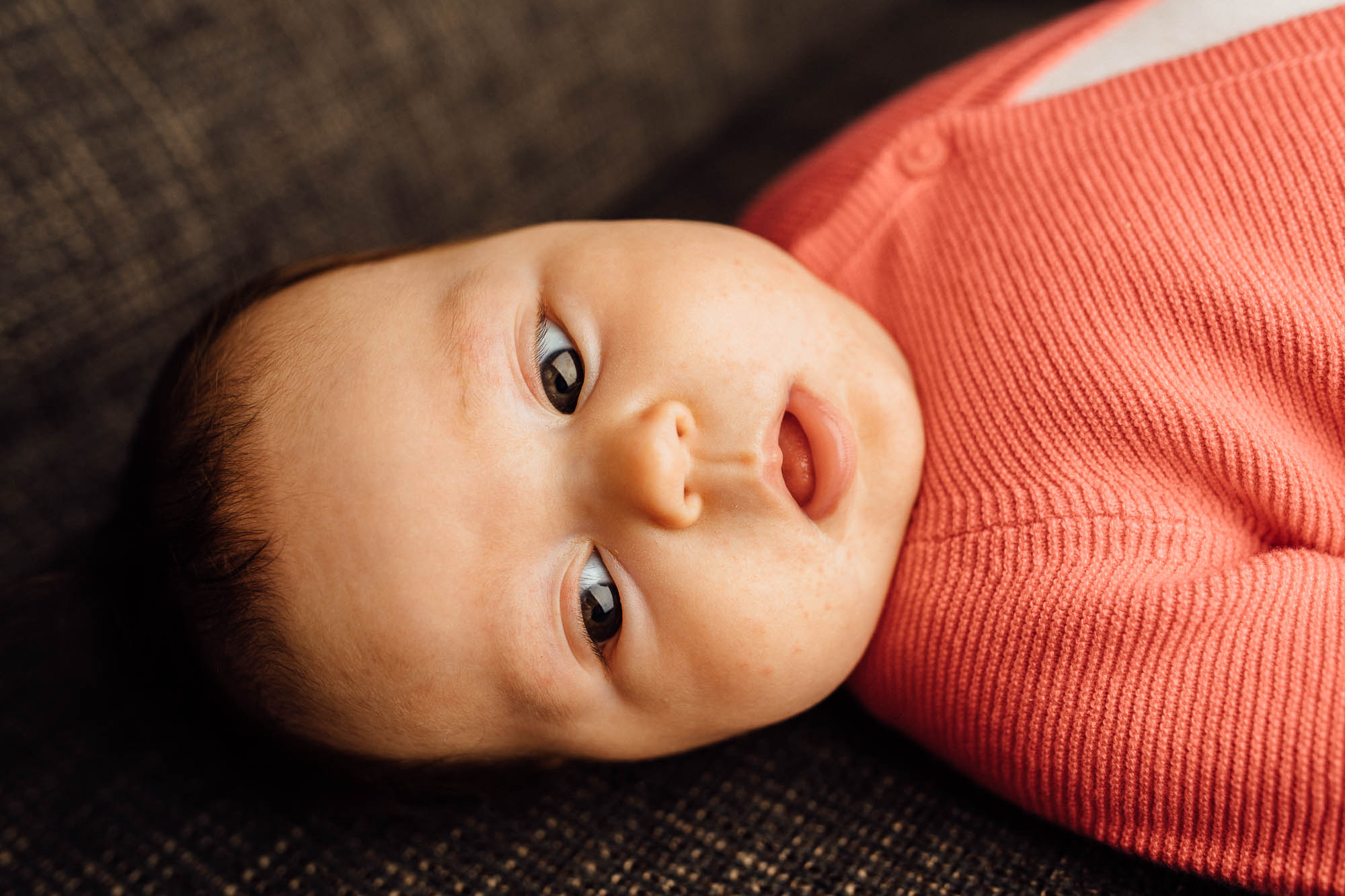 Export x3 5D4 0609 Familyfotoshooting 2020 Rossbach